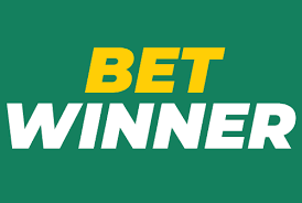 Discover the Excitement of BetWinner Casino 5 Discover the Excitement of BetWinner Casino 5