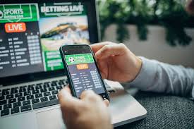 What to look for in a safe online casino 2025 23 What to look for in a safe online casino 2025 23